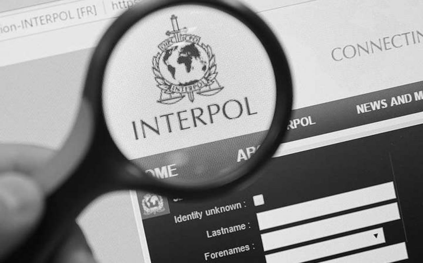 Interpol’s Role within the Global Security Architecture - VB Partners